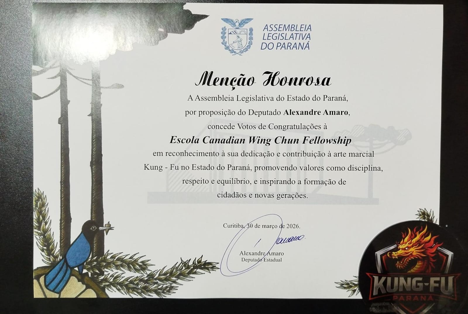 Honra ao mérito sifu Pedro Rego